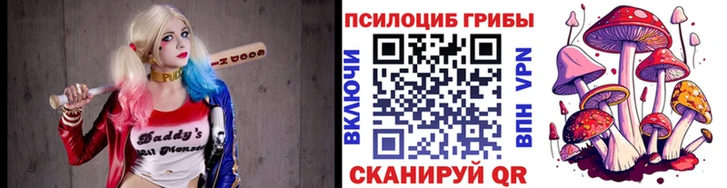 Галлюциногенные грибы GOLDEN TEACHER  где найти   Балашов 
